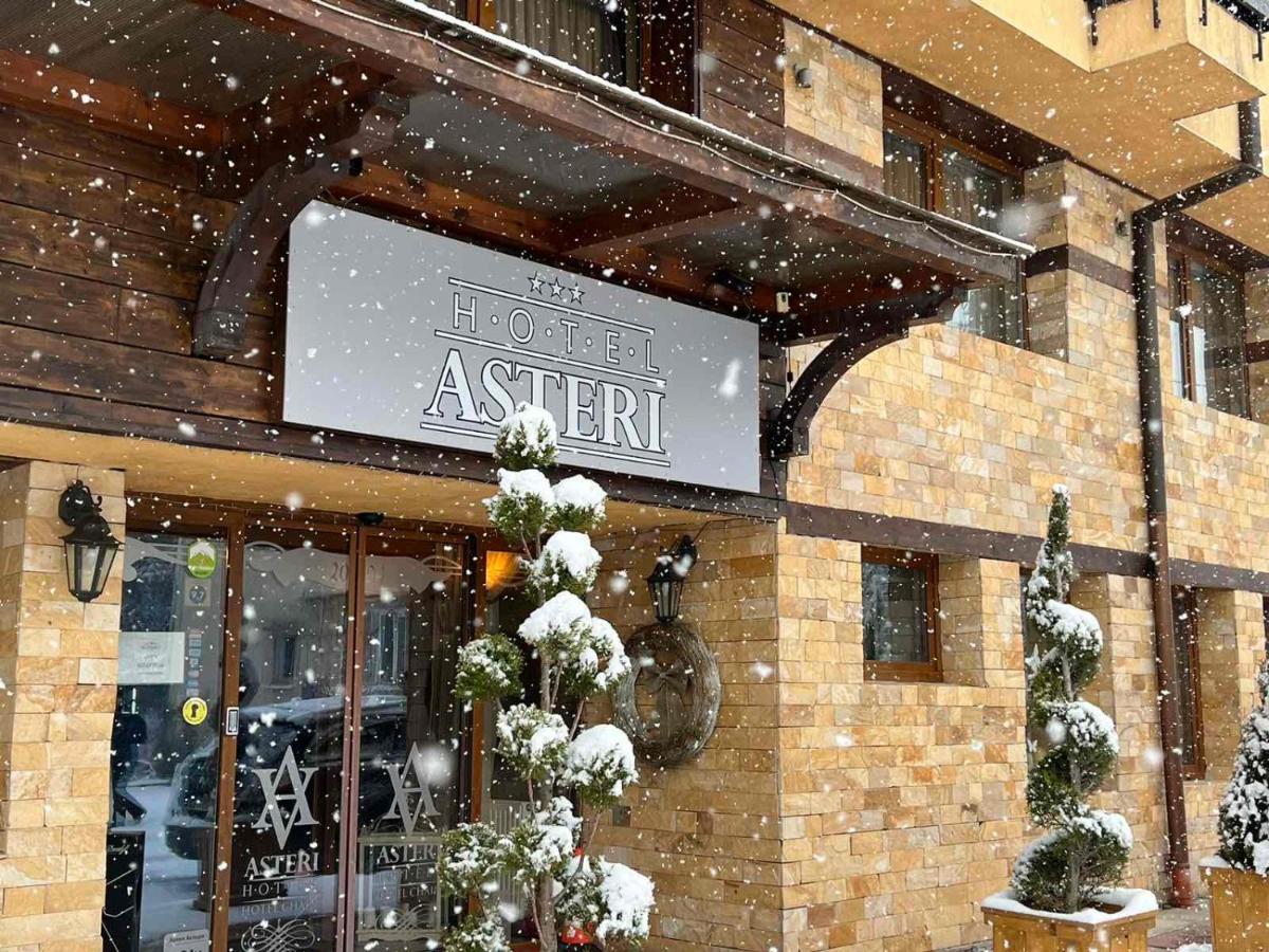 Hotel Asteri Bansko - Organic Food From Small Local Farms By Asteri Hotels ภายนอก รูปภาพ